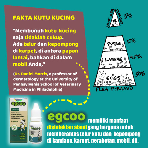Foto Produk EGCOO - Pembasmi Kutu Kucing di Rumah Obat Hewan Kucing Aman dan Ampuh dari Obat Kutu Kucing Alami