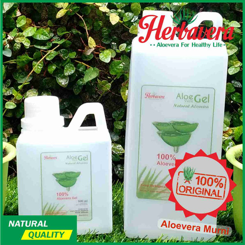 Jual Aloe Vera Gel Gel Lidah Buaya 500 Ml Kota Depok Herbavera Indonesia Tokopedia