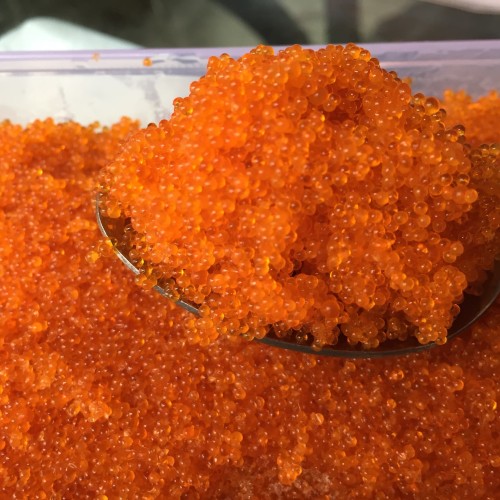 Foto Produk Tobiko Orange 100g fliying fish roe telur ikan terbang repacking halal dari Jual Nori Online