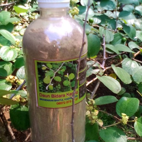 Foto Produk Daun Bidara Serbuk dari Daun Bidara
