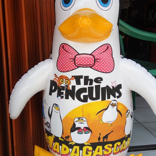 Foto Produk BALON PINGUIN TINJU BESAR 75CM BALON SAMSAK MAINAN ANAK MURAH dari MAG TOYS