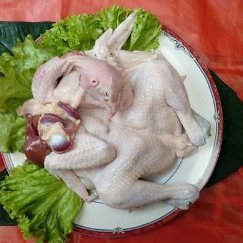 Foto Produk Ayam Kampung Fresh 1.200G dari ayamkampungku