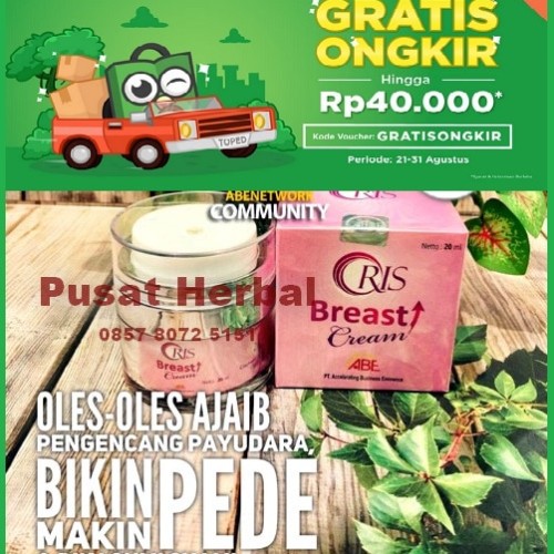 Foto Produk Oris Breast Cream Bikin Kencang Buah Dada & Kejutkan Senang Suami BPOM dari Pusat-Herbal