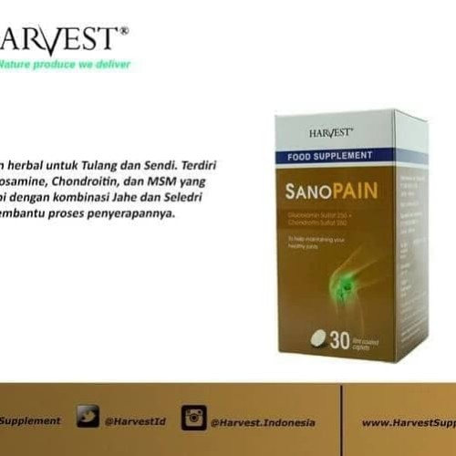 Foto Produk Harvest sanopain isi 30 utk rematik dari bigsbigsshop