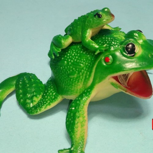 Foto Produk Mainan Karet Kodok Atau Katak Karet dari MAG TOYS