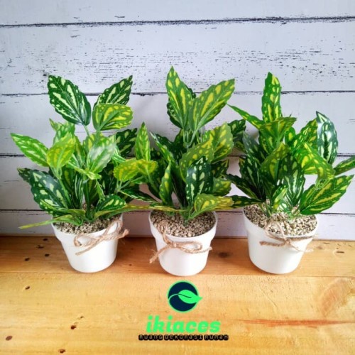 Foto Produk Bunga Plastik Daun Plastik Bunga Artificial Daun Imitasi Dekorasi dari ikiaces