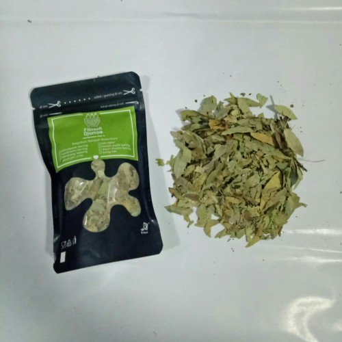 Foto Produk Daun Jati Cina dari Filosofi Djamoe