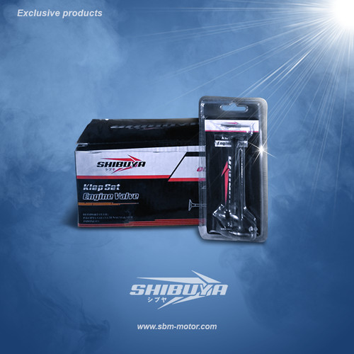 Foto Produk Klep Set Honda Grand Shibuya dari Swarnabumimotor