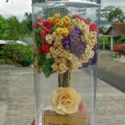 Toko Bunga Edelweis Di Jogja Info Lif Co Id