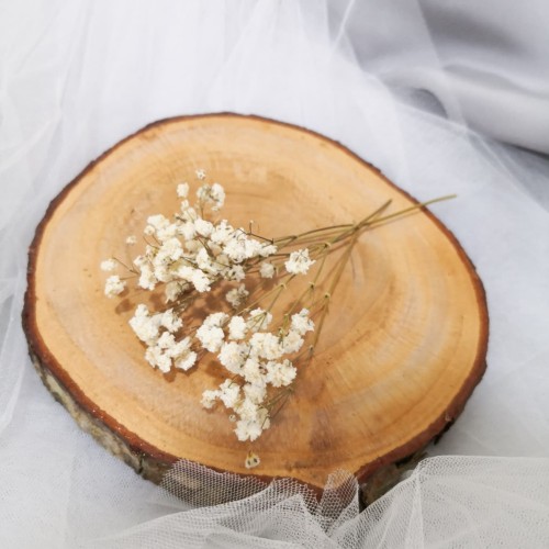 Foto Produk Baby Breath Kering | Dried Flower | Gypsophila dari Von Paramita