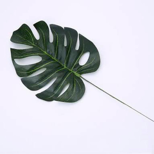 Foto Produk DAUN MONSTERA BESAR ARTIFICIAL PROPERTI FOTO - KECIL dari TwilightShop