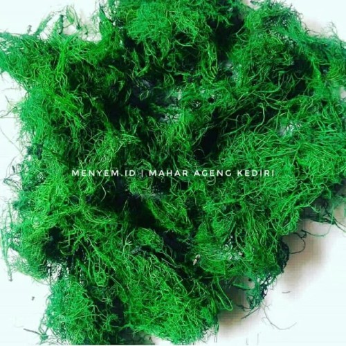 Foto Produk Rumput Kayu angin 20 gram bahan mahar rustic ring box dari maharpare