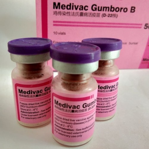 Foto Produk vaksin unggas medivac Gumboro B 500 dari AT-TIn