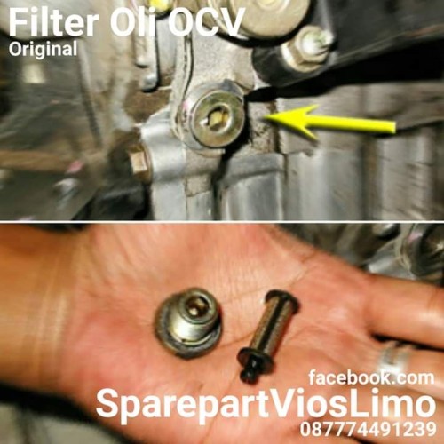 Foto Produk Filter Saringan Oli OCV VVTi Vios Yaris Limo 2003 sampai 2017 dari Safety Store Online
