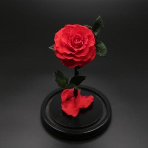 Jual Diskon Single Preserved Rose Bunga Mawar Yang Diawetkan Merah Jakarta Barat Kankunshop Tokopedia