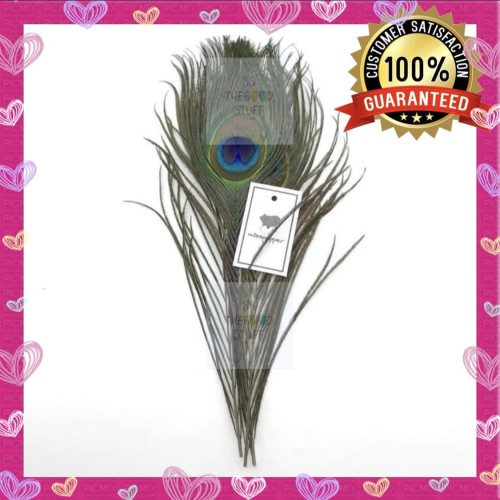 Foto Produk Bulu Merak Asli / Natural Peacock Feather Untuk Craft Premium Quality dari SS TheGoodStuff