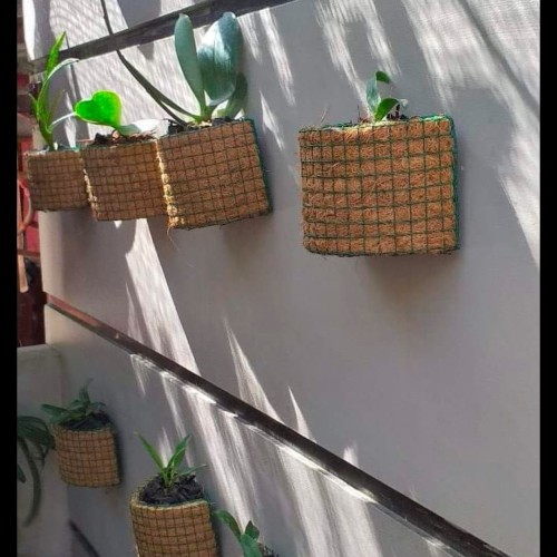 Foto Produk Pot tempel serat kelapa media tanam dari Adinata