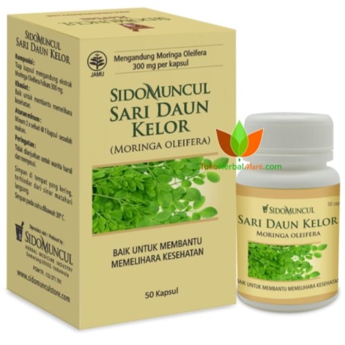 Foto Produk SARI DAUN KELOR SIDOMUNCUL ISI 50 KAPSUL dari TOKO MULIA HERBAL