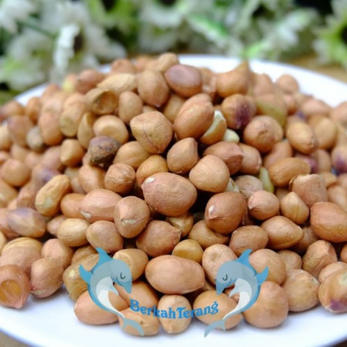 Foto Produk kacang Tanah Tuban Super 1kg - KULIT dari berkah terang