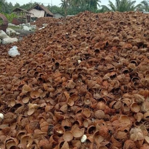 Jual Batok Kelapa Kering Jakarta Timur Toko Herbal Jay Tokopedia