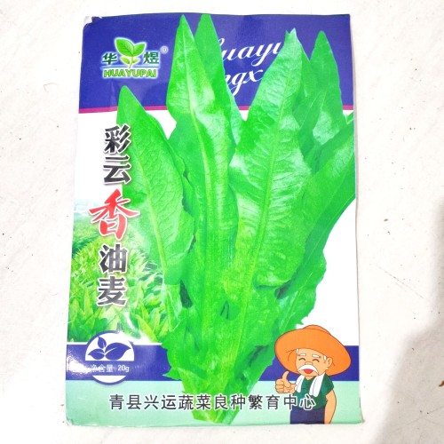 Foto Produk Benih Biji Bibit Fumak (Siomak) kemasan asli siomak dari Biji Benih