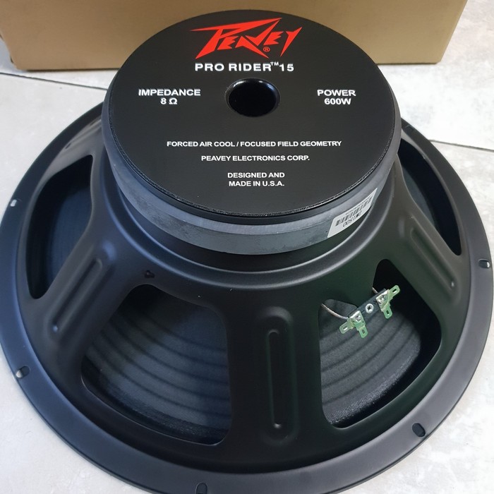 speaker 15 inci