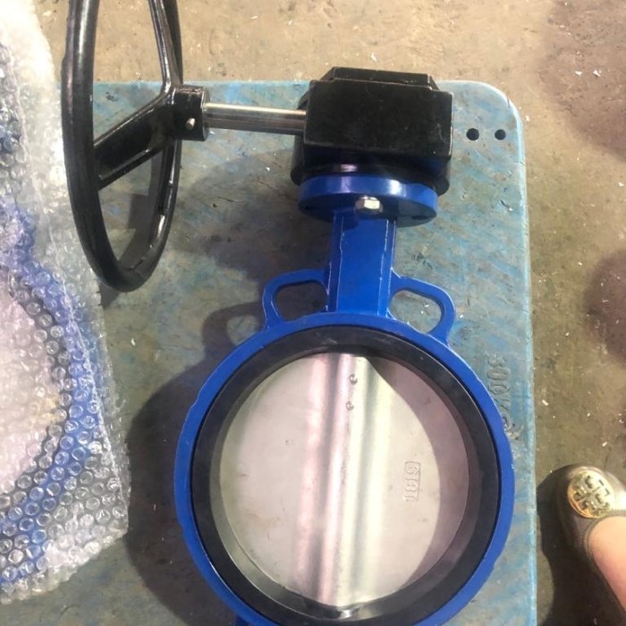 Butterfly Valve Cast Iron Gear Conn 4 Inch