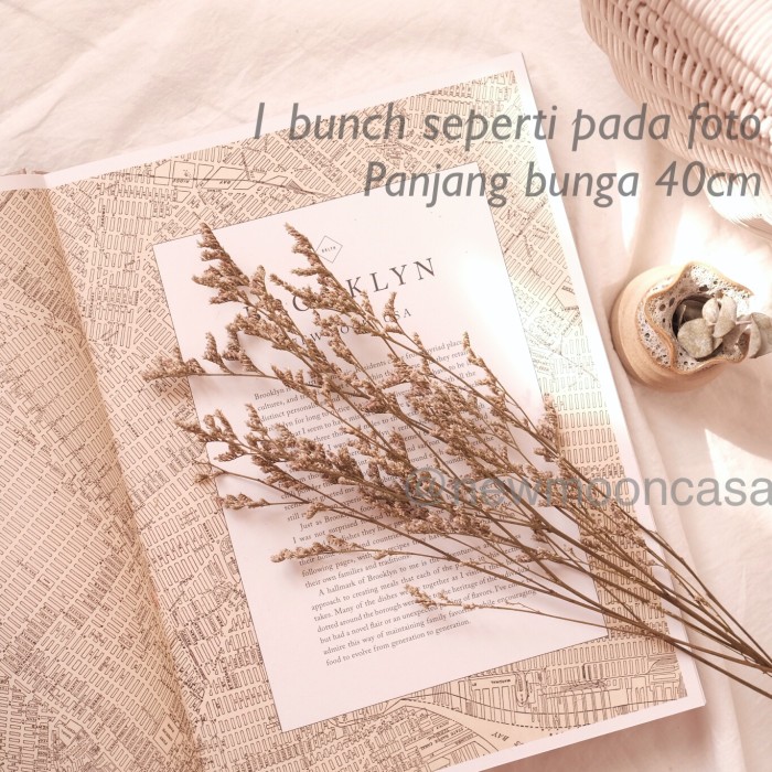 Foto Produk Dried Flower Dekorasi Bunga Kering Rustic Vintage Preserved Caspia dari New Moon Casa
