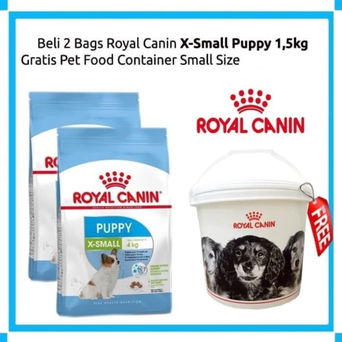 small puppies small puppies