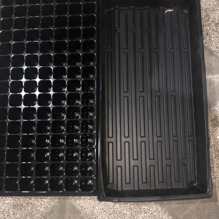 Foto Produk Paket Tray semai 105 Lubang + Nampan Alas semai dari Hidro Mart