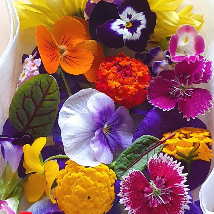 Foto Produk Mix EDIBLE FLOWER Fresh Flowers bunga topping makanan (10 gram) dari Kristys
