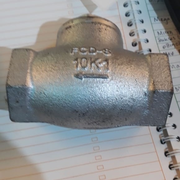 Lift Check Valve Drat Cast Iron 3/4 Inch