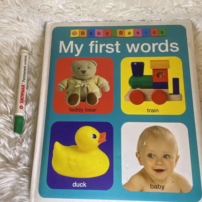baby basics my first words