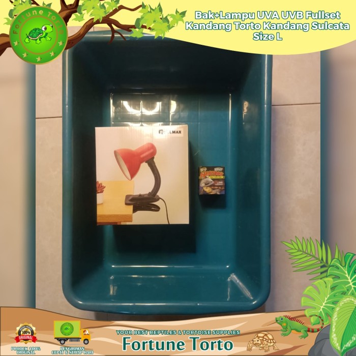 Foto Produk Bak+Lampu UVA UVB/Fullset Kandang torto/Kandang Sulcata/Size L dari Fortune Torto