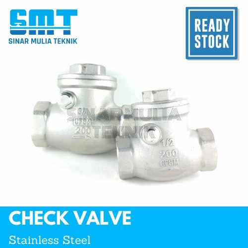 Check Valve Drat Stainless Steel 316 2 1/2 Inch