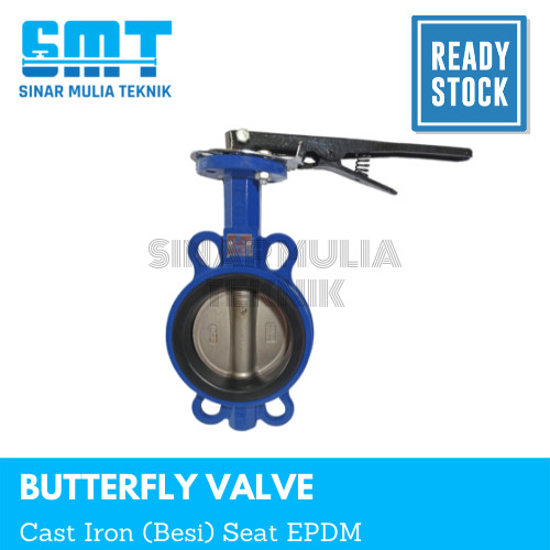  Butterfly Valve Cast Iron 2 1/2 Inch
