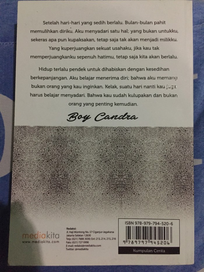 Sinopsis Novel Boy Candra Sebuah Usaha Melupakan Seputar