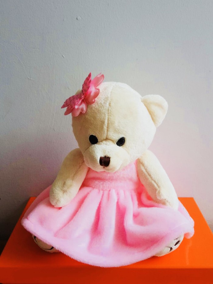 teddy princess