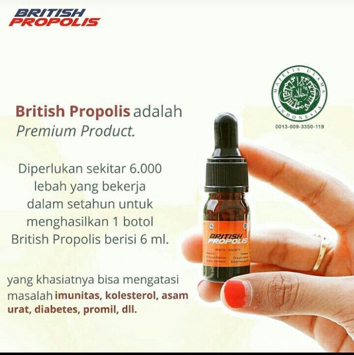 asociación de diabetes mengkudu utk