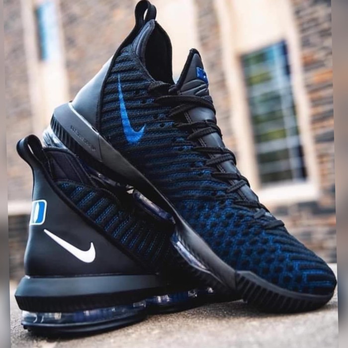lebron duke shoes