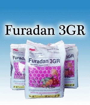 jual furadan 3g rumah benih jual furadan 3g rumah benih