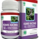 Katalog Kumis Kucing Hargano.com Katalog Kumis Kucing Hargano.com
