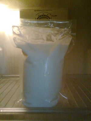 jual bibit yogurt guntorotech jual bibit yogurt guntorotech