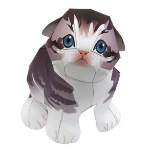 Katalog Scottish Fold Travelbon.com Katalog Scottish Fold Travelbon.com