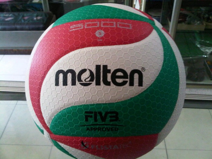 Bola Voli / Bola Volley Molten V5M 5000