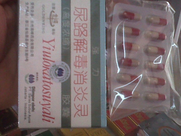 KAPSUL OBAT SIPILIS menjadikan Mr.P lebih sehat tampil perkasa