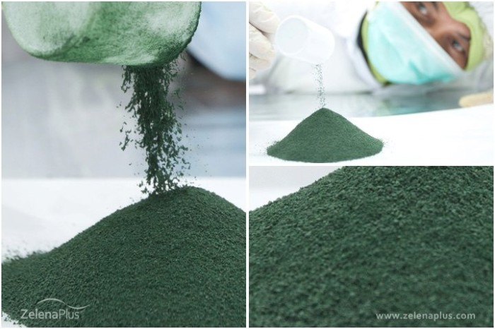 jual spirulina serbuk bubuk high quality 1 kilogram jual spirulina serbuk bubuk high quality 1 kilogram