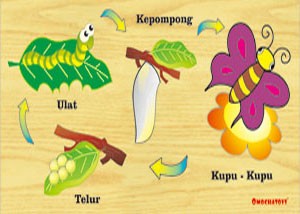Unduh 850 Gambar Animasi Metamorfosis Kupu Kupu HD Terbaik Unduh 850 Gambar Animasi Metamorfosis Kupu Kupu HD Terbaik