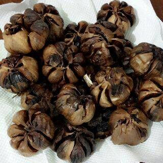 jual bawang putih hitam clarissa jual bawang putih hitam clarissa