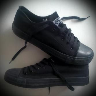 converse mono canvas